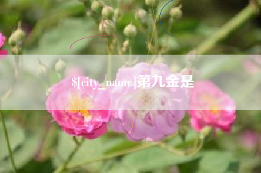 乌鲁木齐第九金是