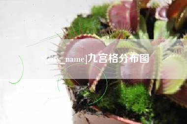 乌鲁木齐九宫格分布图