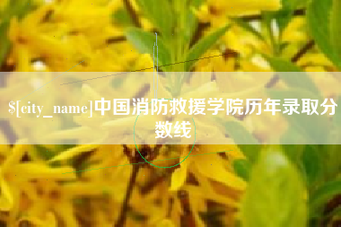 乌鲁木齐中国消防救援学院历年录取分数线