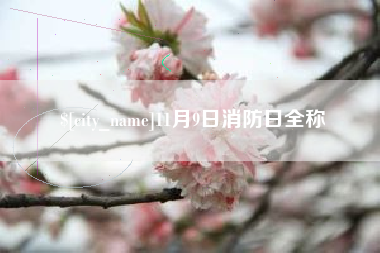 乌鲁木齐11月9日消防日全称