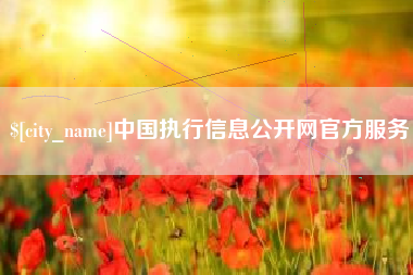乌鲁木齐中国执行信息公开网官方服务