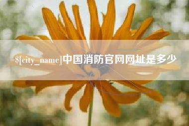 乌鲁木齐中国消防官网网址是多少