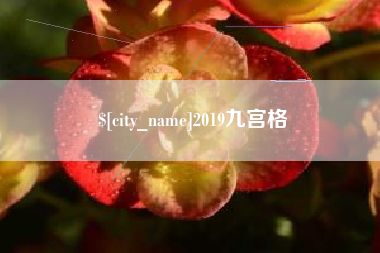 乌鲁木齐2019九宫格