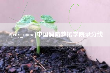 乌鲁木齐中国消防救援学院录分线