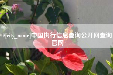 乌鲁木齐中国执行信息查询公开网查询官网
