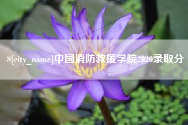 乌鲁木齐中国消防救援学院2020录取分