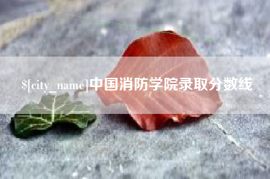 乌鲁木齐中国消防学院录取分数线