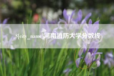 乌鲁木齐河南消防大学分数线