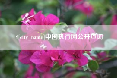 乌鲁木齐中国执行网公开查询