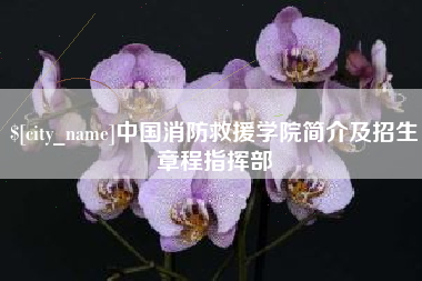 乌鲁木齐中国消防救援学院简介及招生章程指挥部