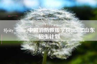 乌鲁木齐中国消防救援学院2021年山东招生计划