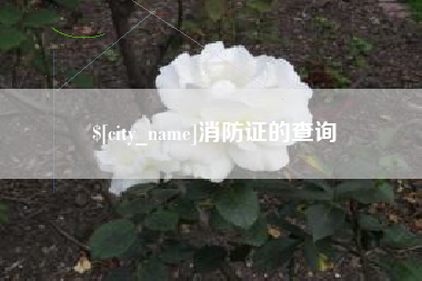 乌鲁木齐消防证的查询