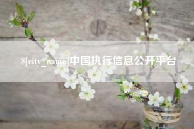 乌鲁木齐中国执行信息公开平台
