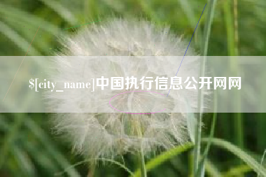 乌鲁木齐中国执行信息公开网网