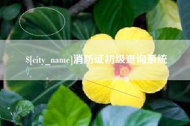 乌鲁木齐消防证初级查询系统