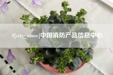 乌鲁木齐中国消防产品信息中心