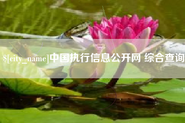 乌鲁木齐中国执行信息公开网 综合查询