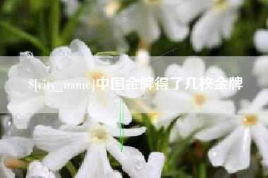 乌鲁木齐中国金牌得了几枚金牌