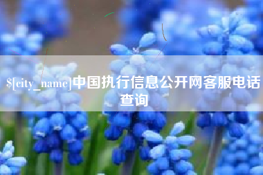 乌鲁木齐中国执行信息公开网客服电话查询