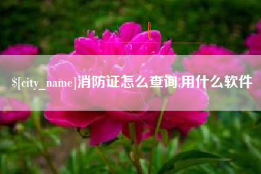 乌鲁木齐消防证怎么查询,用什么软件