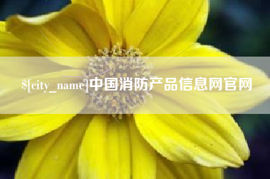 乌鲁木齐中国消防产品信息网官网