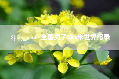 乌鲁木齐全国男子5000米世界纪录