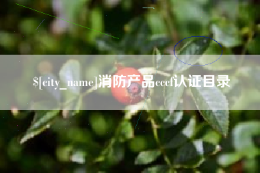 乌鲁木齐消防产品cccf认证目录