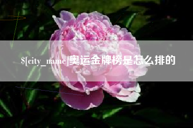 乌鲁木齐奥运金牌榜是怎么排的