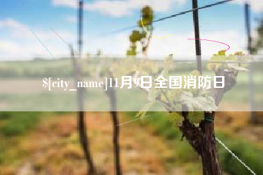 乌鲁木齐11月9日全国消防日