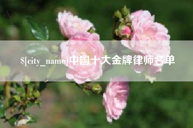 乌鲁木齐中国十大金牌律师名单
