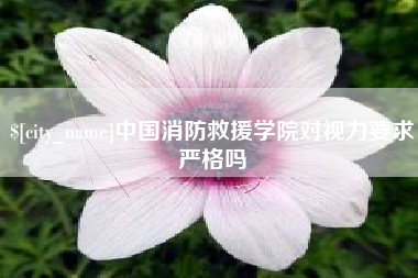 乌鲁木齐中国消防救援学院对视力要求严格吗