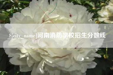 乌鲁木齐河南消防学校招生分数线