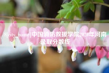 乌鲁木齐中国消防救援学院2020年河南录取分数线