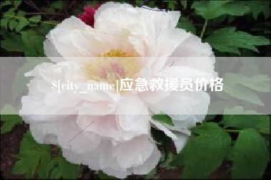 乌鲁木齐应急救援员价格