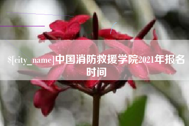 乌鲁木齐中国消防救援学院2021年报名时间