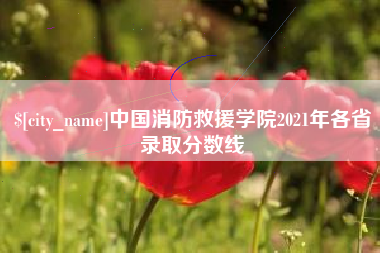 乌鲁木齐中国消防救援学院2021年各省录取分数线
