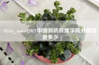 乌鲁木齐2021中国消防救援学院分数线是多少