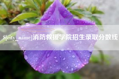乌鲁木齐消防救援学院招生录取分数线