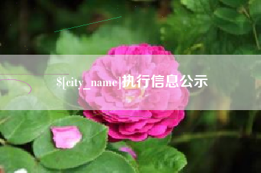 乌鲁木齐执行信息公示