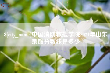 乌鲁木齐中国消防救援学院2021年山东录取分数线是多少