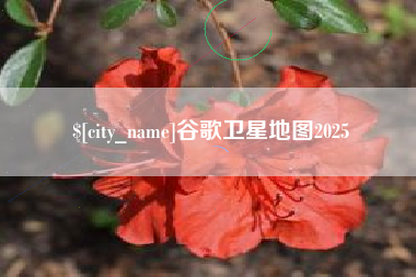 乌鲁木齐谷歌卫星地图2025