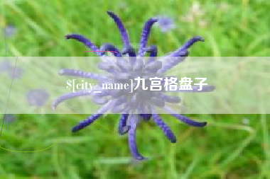 乌鲁木齐九宫格盘子