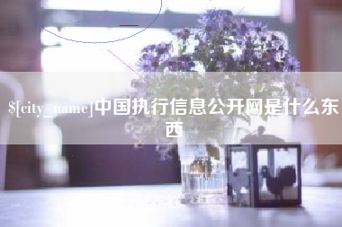 乌鲁木齐中国执行信息公开网是什么东西
