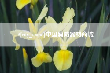 乌鲁木齐中国消防器材商城