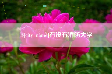 乌鲁木齐有没有消防大学