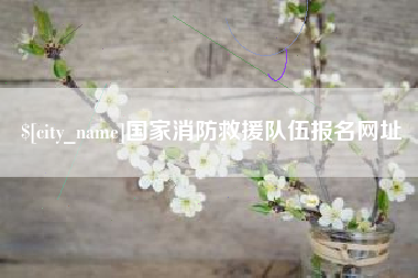 乌鲁木齐国家消防救援队伍报名网址