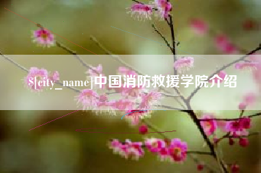 乌鲁木齐中国消防救援学院介绍