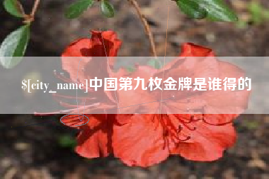 乌鲁木齐中国第九枚金牌是谁得的