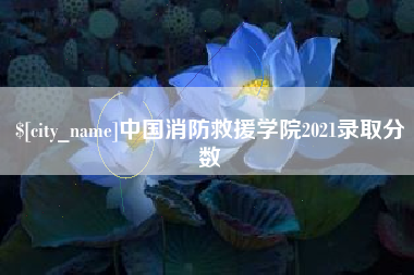 乌鲁木齐中国消防救援学院2021录取分数