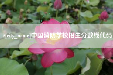 乌鲁木齐中国消防学校招生分数线代码